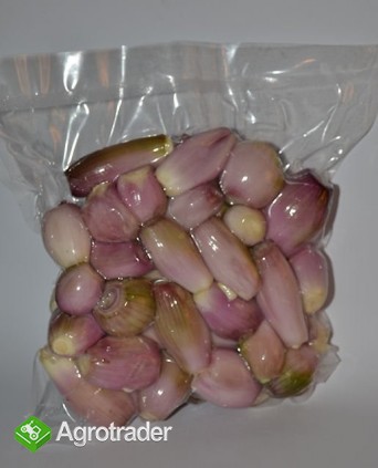 Sprzedam cebule pakowana w vacum (biała ,czerwona - zdjęcie 2