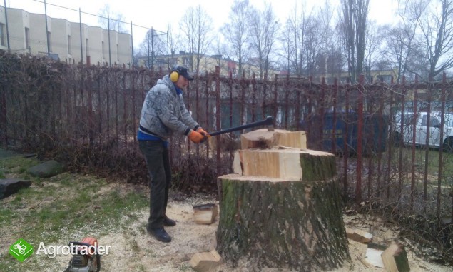Wycinka drzew, wyburzanie budynków, przygotowanie terenu pod budowę Fv - zdjęcie 1