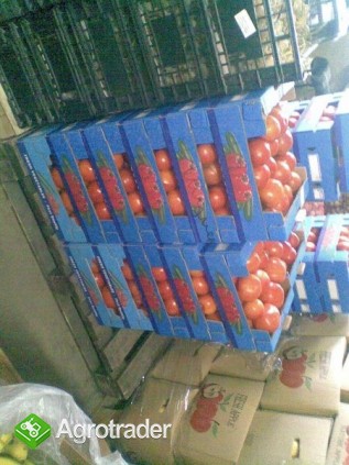 Pomidory szklarniowe BB (iportowane)