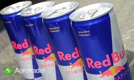 2018 Red Bull Energy Drinks Najlepsza jakość