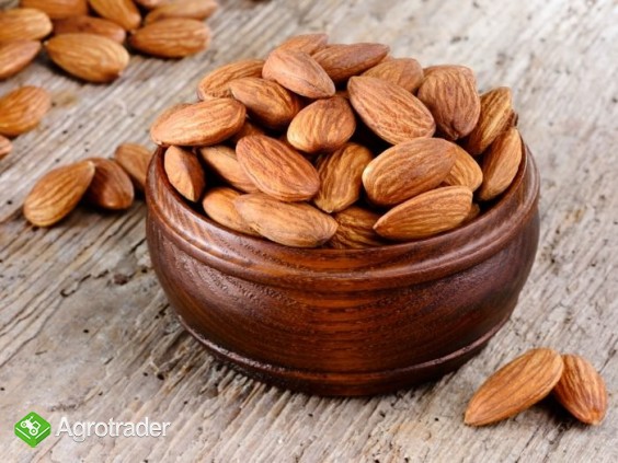 Raw Natural Almond Nuts