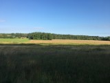 Oddam w dzierżawę  grunty rolne, Tarnówka, powiat Złotów, 29 ha