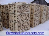 Pakowane drewno na paletach z Ukrainy