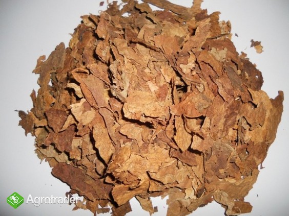 STRIPS BUŁGARSKI HURT SOSY AROMAT - zdjęcie 2