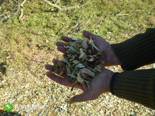 TRITURADORA DE RAMAS - zdjęcie 3