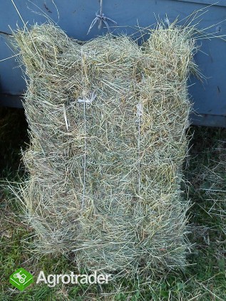 Siano w kostkach 2013 i słoma - zdjęcie 1