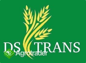 KUPIĘ OTRĘBY PSZENNE