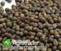 Kupie każdą ilość Soji - zdjęcie 3