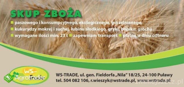 kupię groch- skup grochu