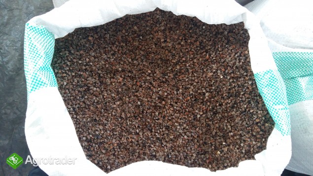 Sprzedam grykę  - zdjęcie 1