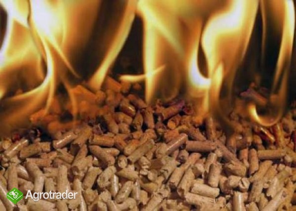 Sprzedam - Pellety z luski slonecznika - zdjęcie 1