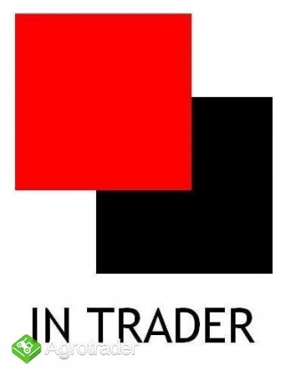 Sprzedaż prosiąt i warchlaków